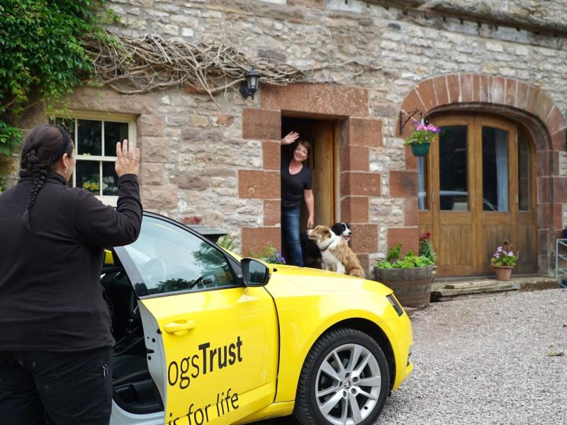 Dogs Trust is appealing for more foster carers