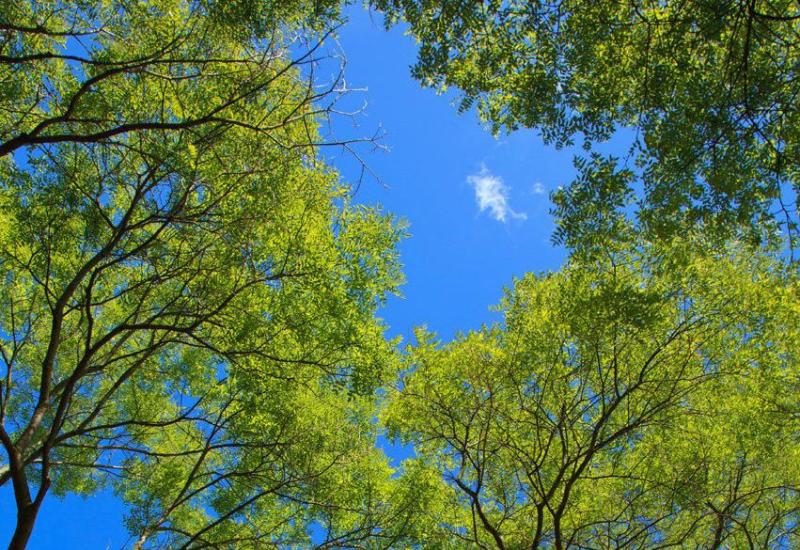Ione's Health and Wellbeing - The vagus nerve