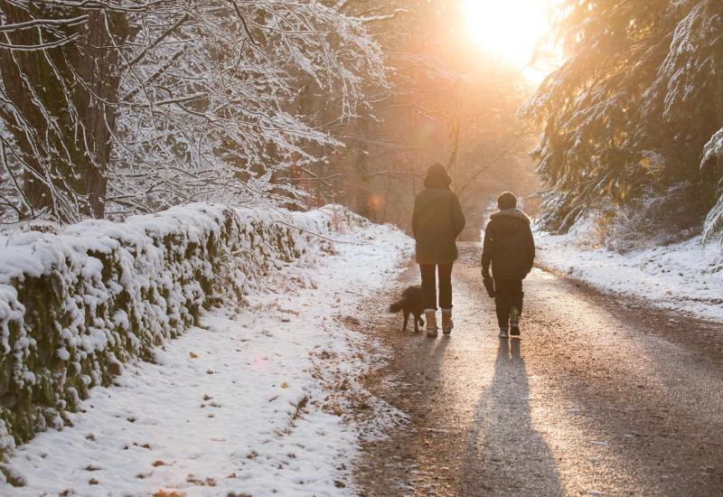 Save money and go green this Christmas with the Woodland Trust&rsquo;s guide to free winter walks