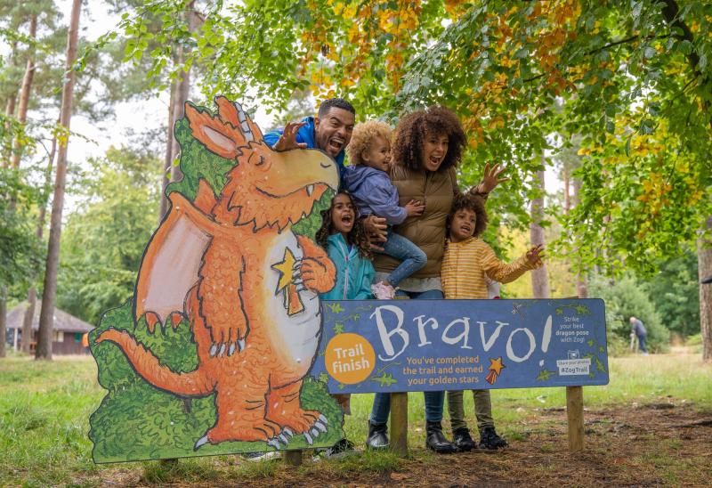 Join Zog on his magical forest adventure at Forestry England&rsquo;s Haldon Forest Park