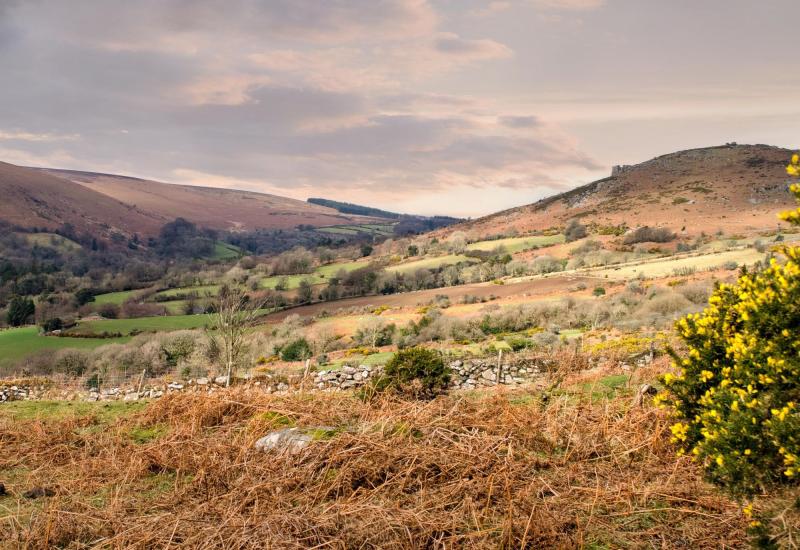 MP introduces Bill to allow enhanced access to Dartmoor National Park