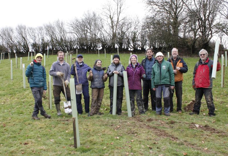 Dartmoor tree charity looking for new trustees