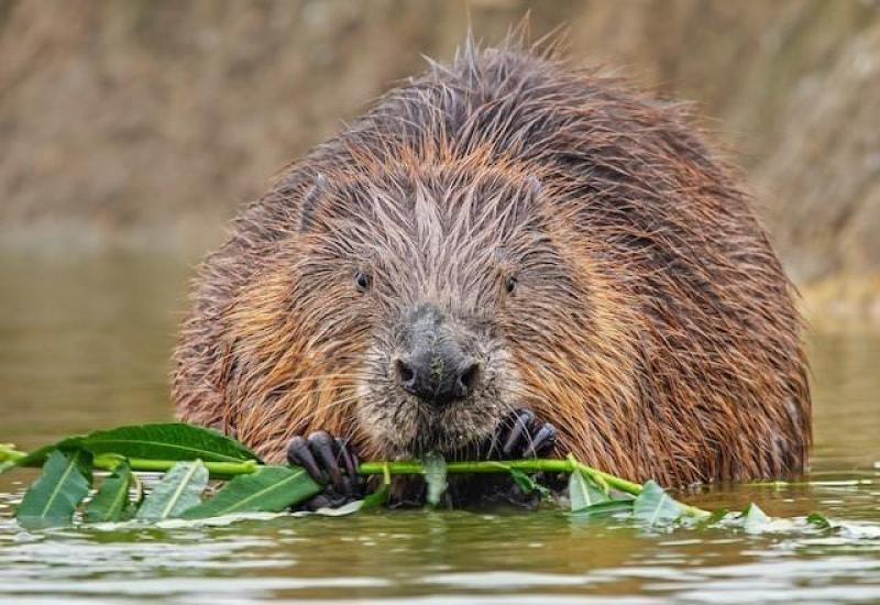 New Scientist Discovery Tours offers new itineraries in the South West