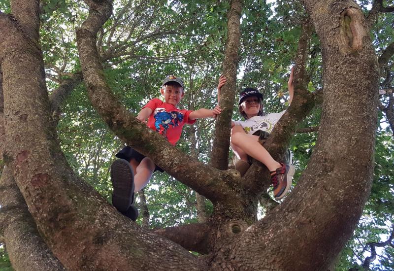 The Wildlife Trusts’ big nature challenge, 30 Days Wild, is back
