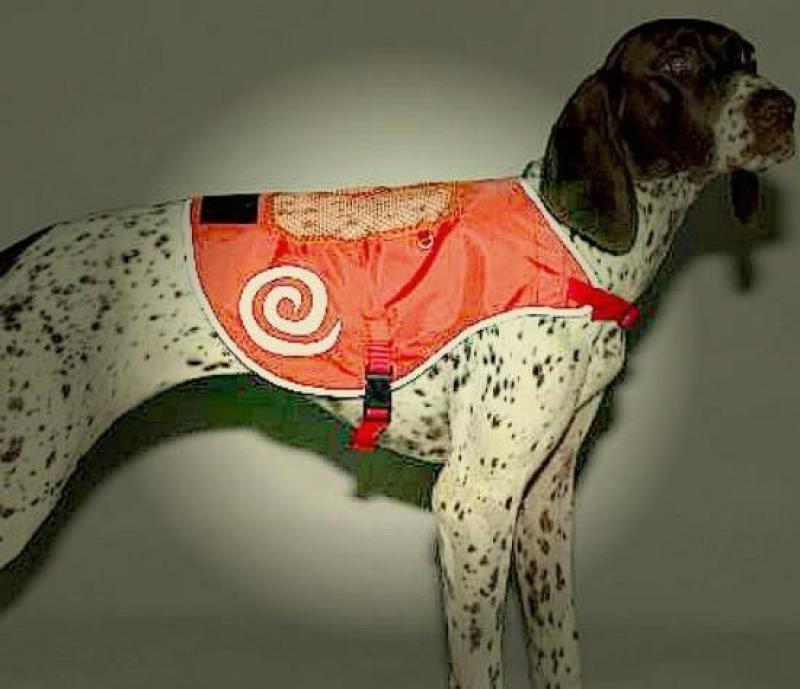Paw Prints: Caring for your pets in the dark.   Be safe, be seen!