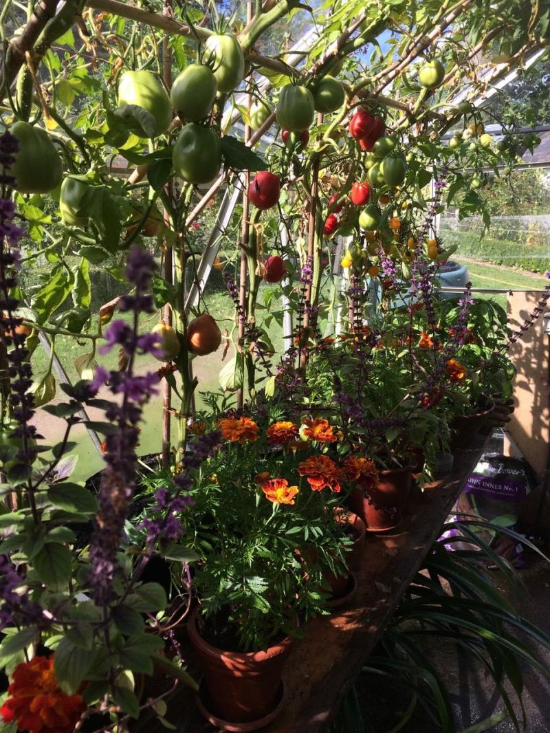 Gardening with Michael Pell: Spring