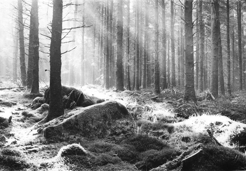 Dartmoor is perfect with its big skys