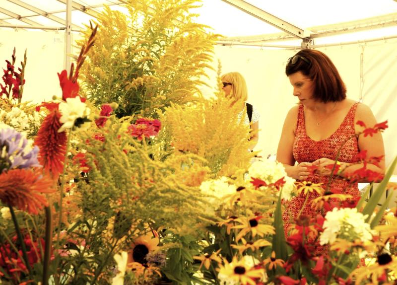 The heat was on at the Lustleigh Show