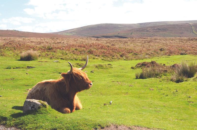 Funding for farmers confirmed