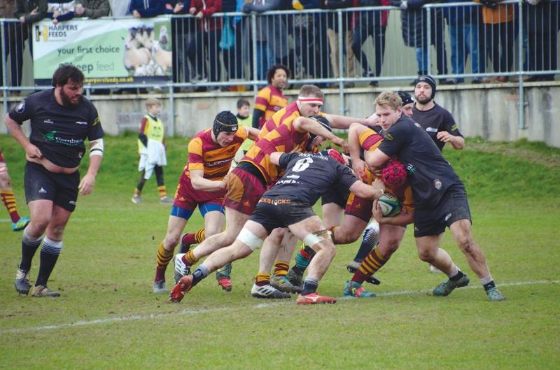 Okes felled by All Blacks