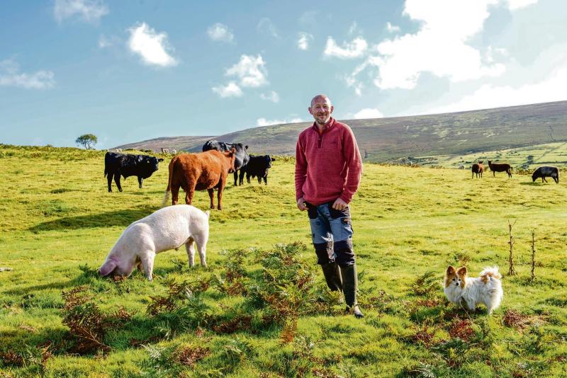 A very British farming revolution:  Challacombe Farm