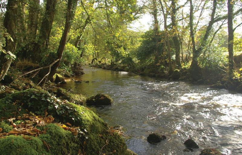 Going, going ..?  Time for action