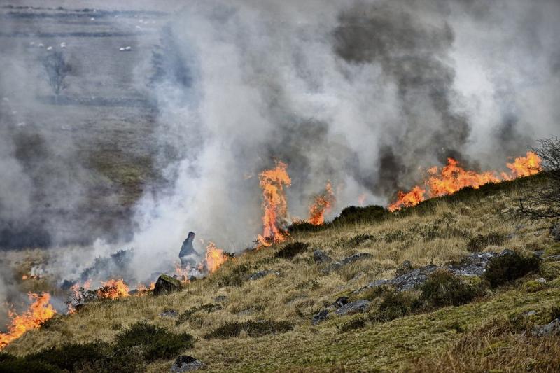 Brexit and Dartmoor: Farmers&rsquo; fears for the future