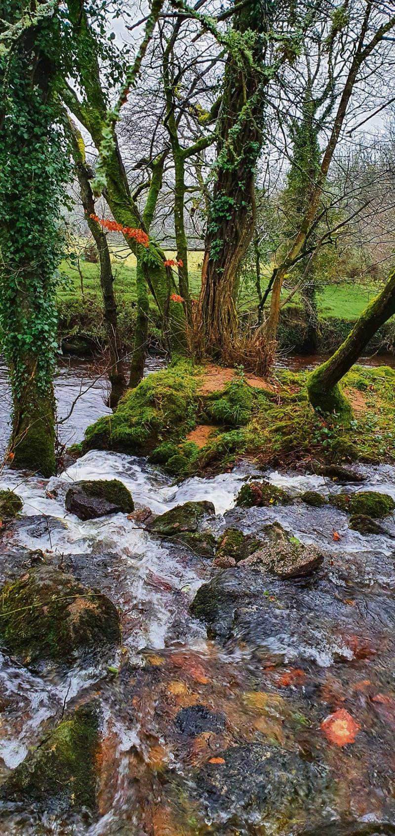 A short walk to a better day