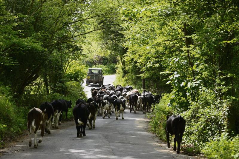 Protecting Dartmoor from its own popularity &ndash; Solving the problems of overuse and abuse: Part 2