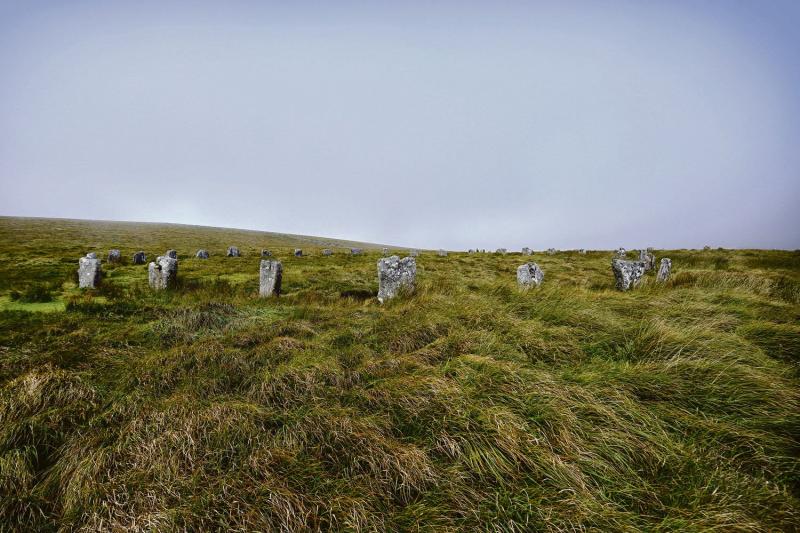 The rewilding of Dartmoor  – Who really understands what is meant by ‘rewilding’? – Part 1