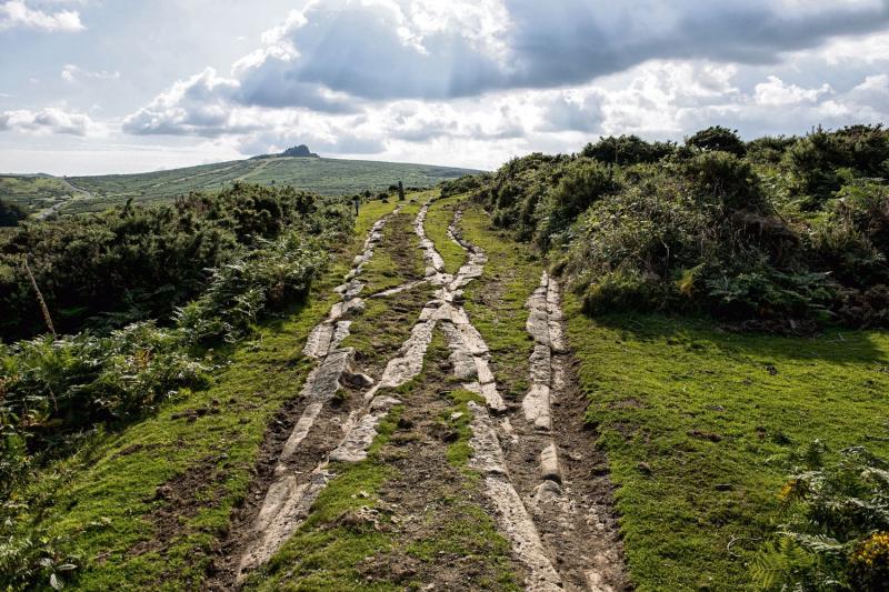 The rewilding of Dartmoor &ndash; Who really understands what is meant by &lsquo;rewilding&rsquo;? &ndash; Part 2