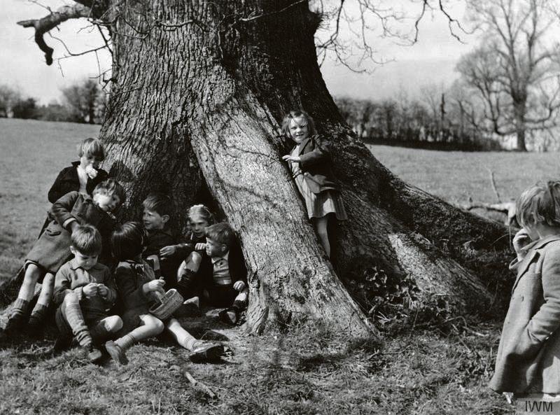The evacuated children of the Second World War