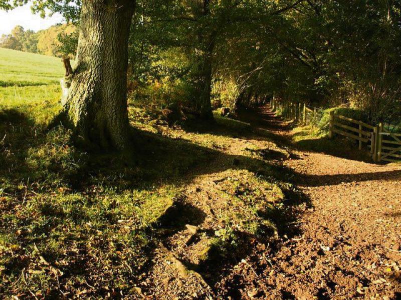 Consultation on draft revisions to Dartmoor’s byelaws