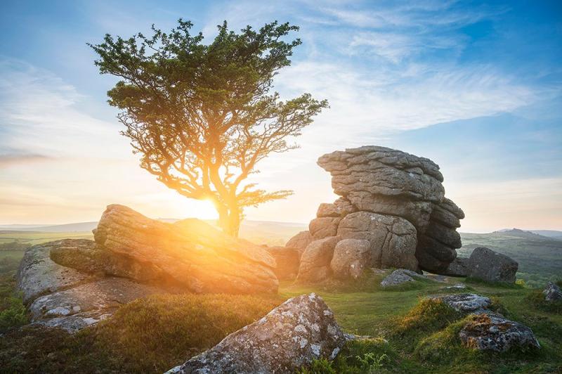 The progress to protect Dartmoor