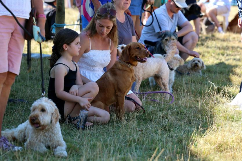 Competitors in the Dog Show
