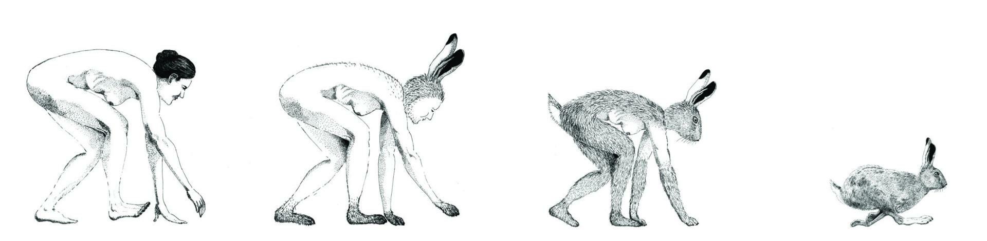 'Woman Becoming Hare' by Ethan Pennell